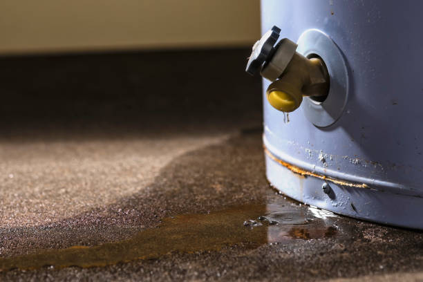 Best Commercial water damage restoration  in Havre, MT