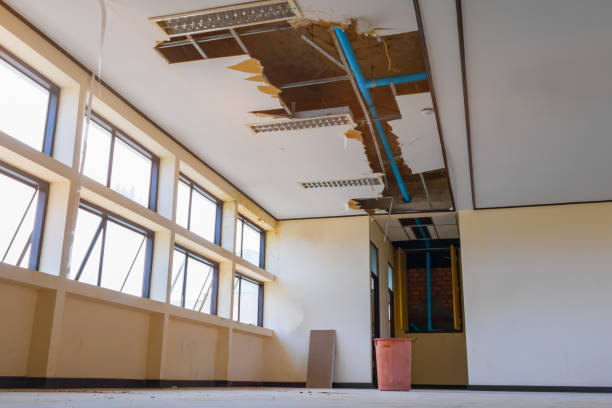 Best Water damage cleanup near me  in Havre, MT