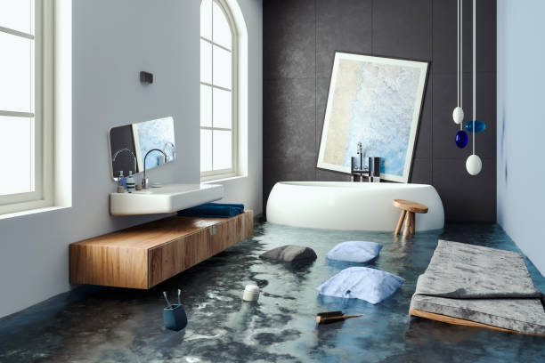 Best Water damage restoration mold remediation  in Havre, MT