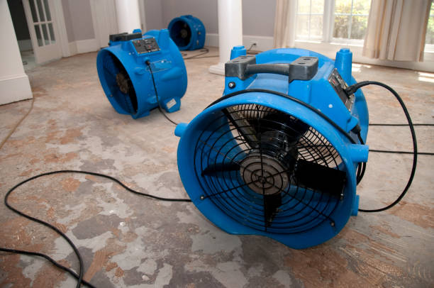Best Water damage restoration insurance claims  in Havre, MT
