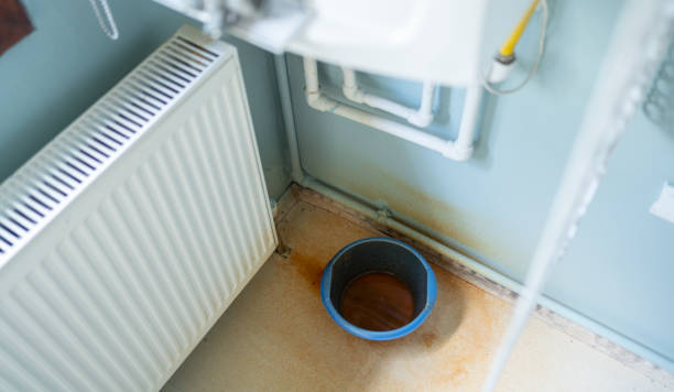 Best Water damage cleanup near me  in Havre, MT